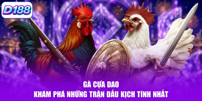 Gà Cựa Dao - Khám Phá Những Trận Đấu Kịch Tính Nhất
