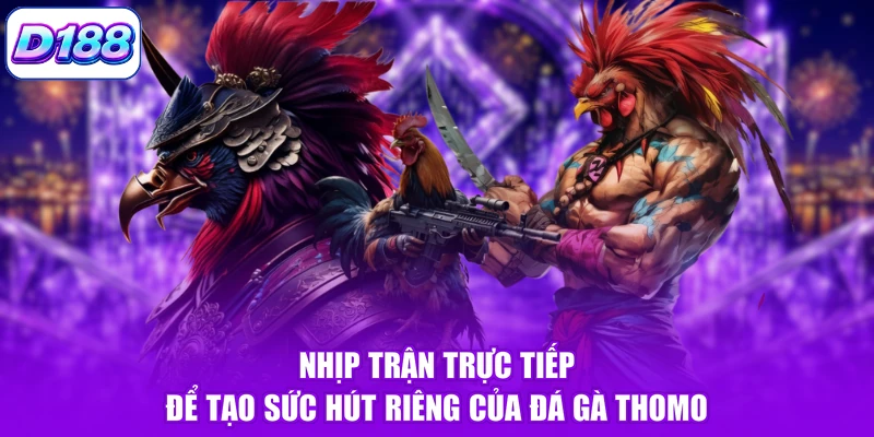 Nhịp trận trực tiếp để tạo sức hút riêng của đá gà Thomo