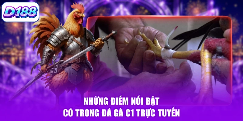 Những điểm nổi bật có trong đá gà C1 trực tuyến