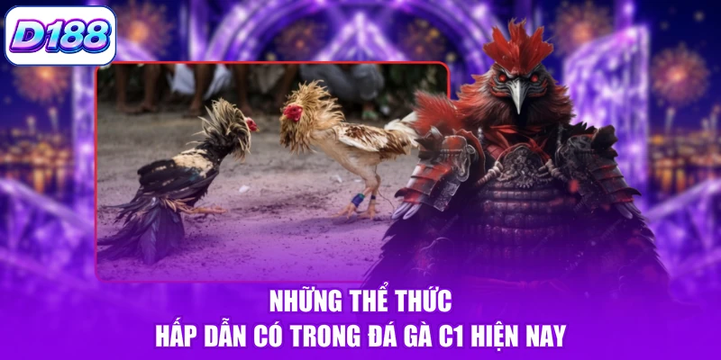 Những thể thức hấp dẫn có trong đá gà C1 hiện nay