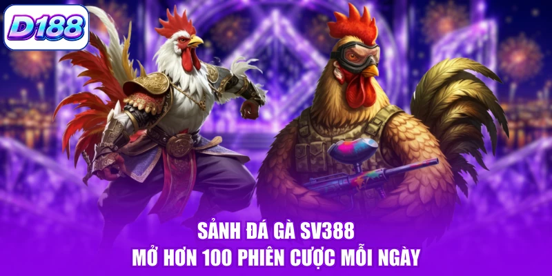 Sảnh đá gà SV388 mở hơn 100 phiên cược mỗi ngày