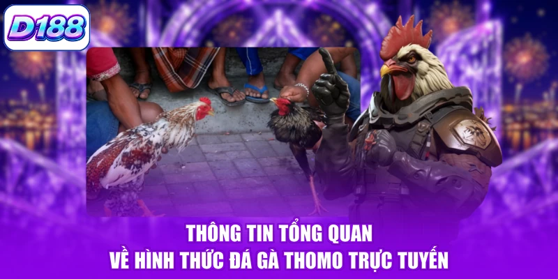 Thông tin tổng quan về hình thức đá gà Thomo trực tuyến