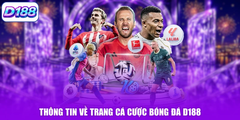 Thông tin về trang cá cược bóng đá D188